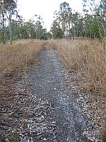 QLD - Gindoran - Abandoned Bruce Highway Alignment road surface off John Clifford Way (31 Jul 2011)